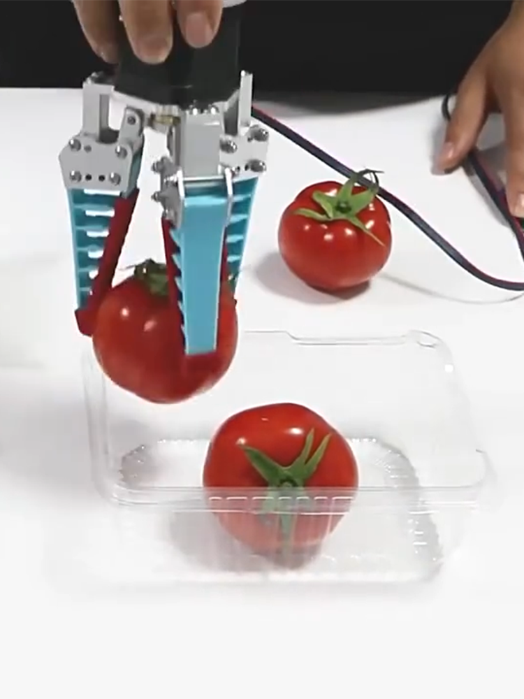 ذراع ميكانيكي بيونيك مع مخلب س - مراجعة Robot Gripper Claw وسعره